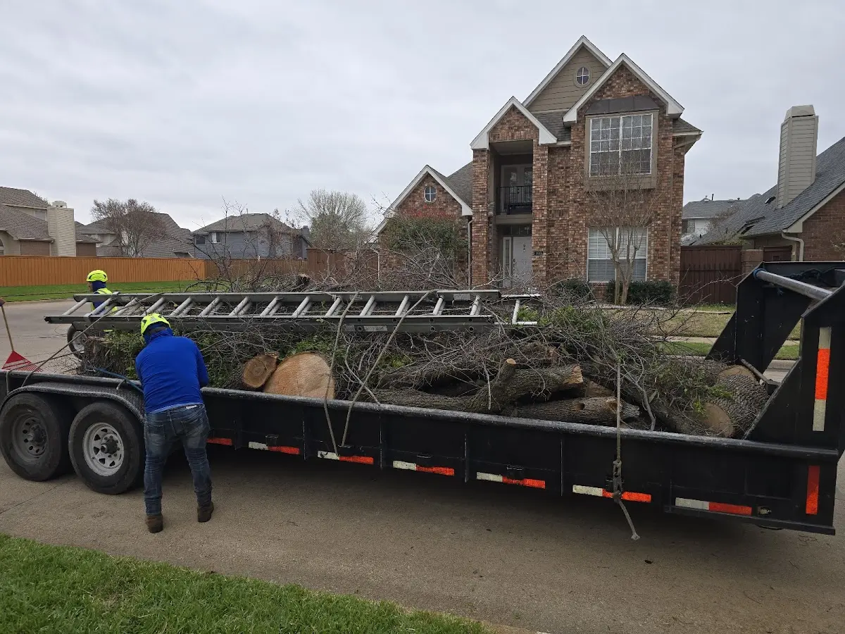 Expert Tree Pest Control with proper safety equipment in Gwynedd